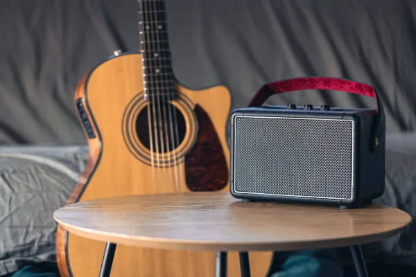 Battery Speaker